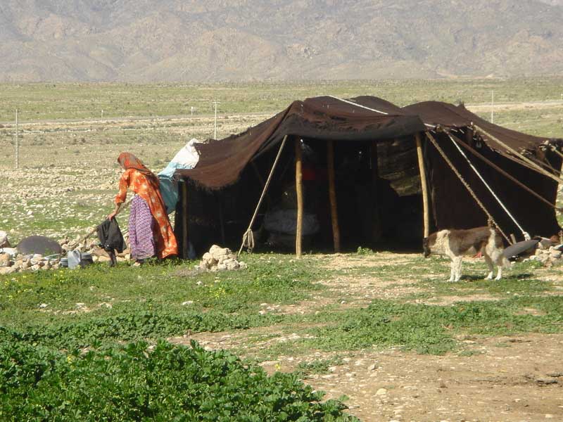 Qashqai Camp With Goat Hair Yurt